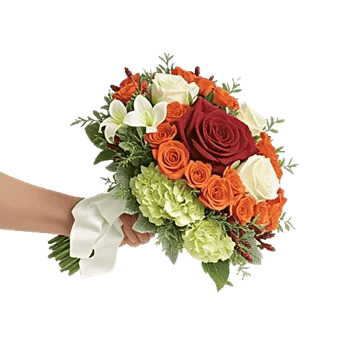 Blushing Rose Symphony