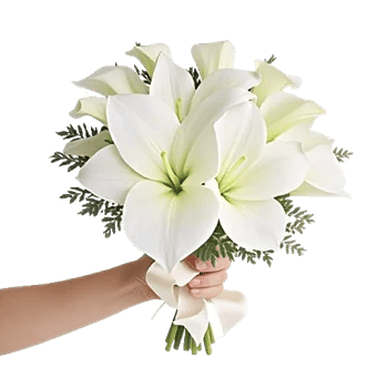 Elegant Calla Lilies
