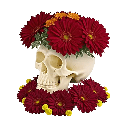 Modern White Orchids