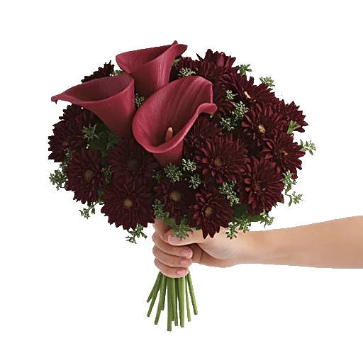 Elegant Calla Lilies