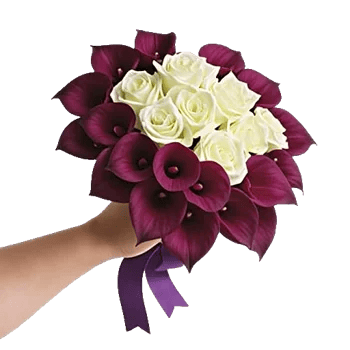 Elegant Calla Lilies