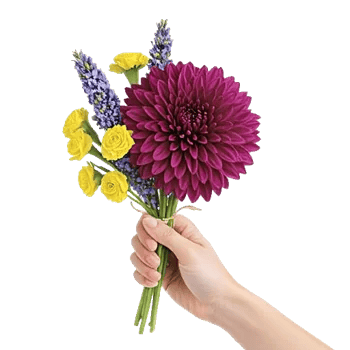 Radiant Bloom Cascade