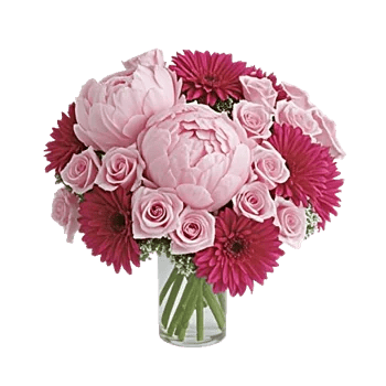 Petal Radiance Bliss