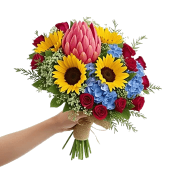 Coral Blossom Harmony