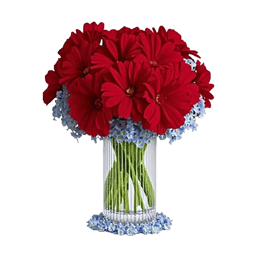 Petal Radiance Bliss
