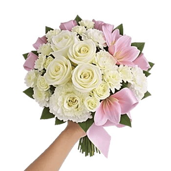 Blushing Rose Symphony