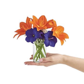 Graceful Lily Display