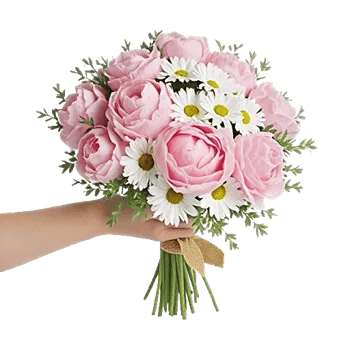 Peony Petal Harmony