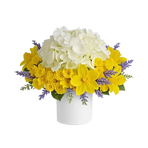 Serene Petal Harmony