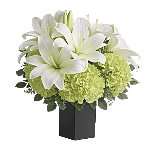 Ivory Blossom Radiance