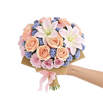Petal Softness Display