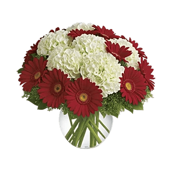 Petal Radiance Bliss