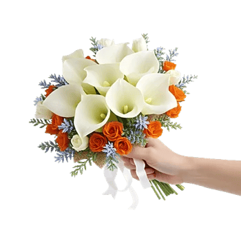 Elegant Calla Lilies