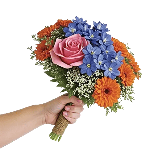 Blushing Rose Symphony