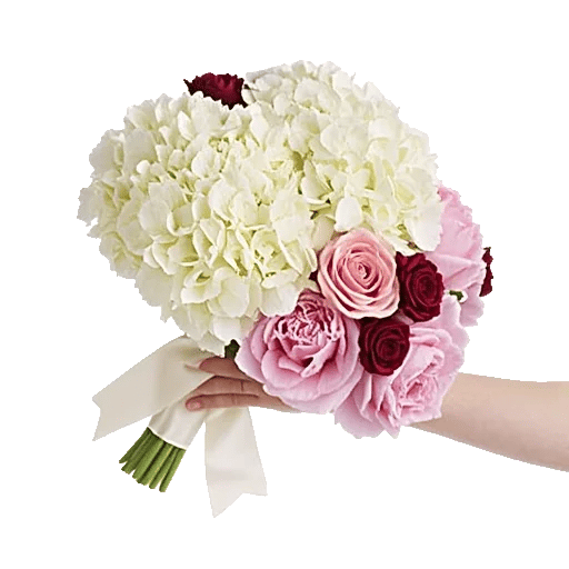 Ivory Blossom Radiance