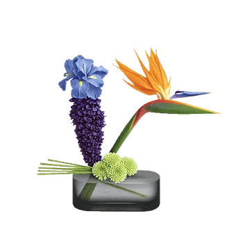 Minimalist White Orchids