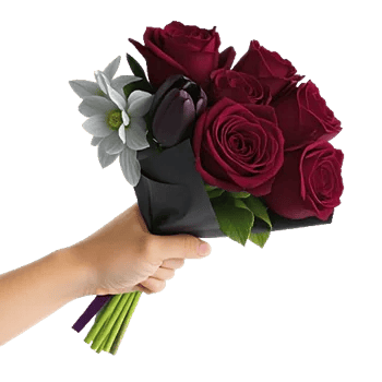 Crimson Rose Elegance