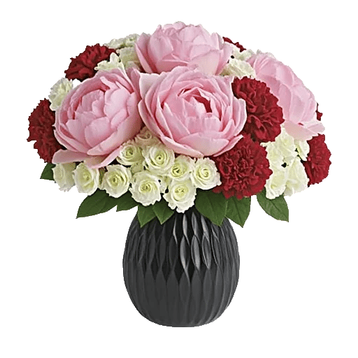 Petal Radiance Bliss