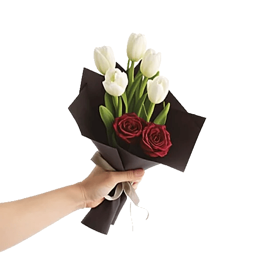 Velvet Tulip Display