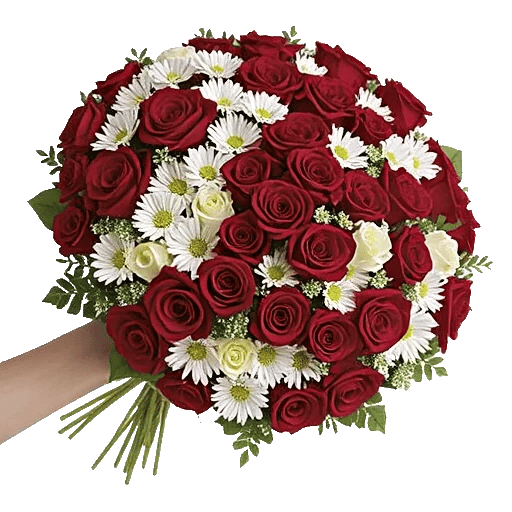 Crimson Rose Elegance