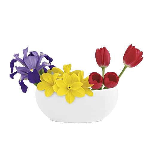 Ivory Blossom Radiance