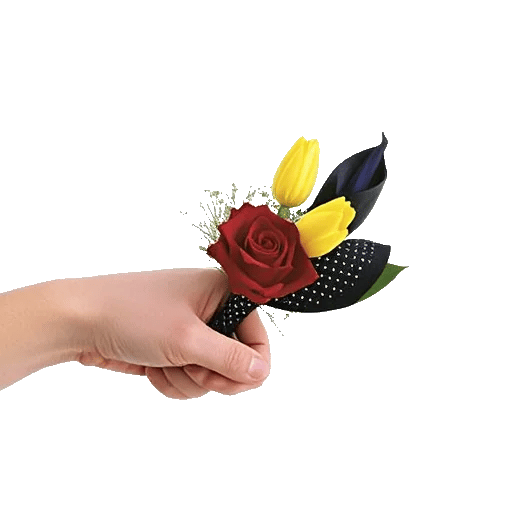 Elegant Calla Lilies