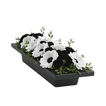 Modern White Orchids