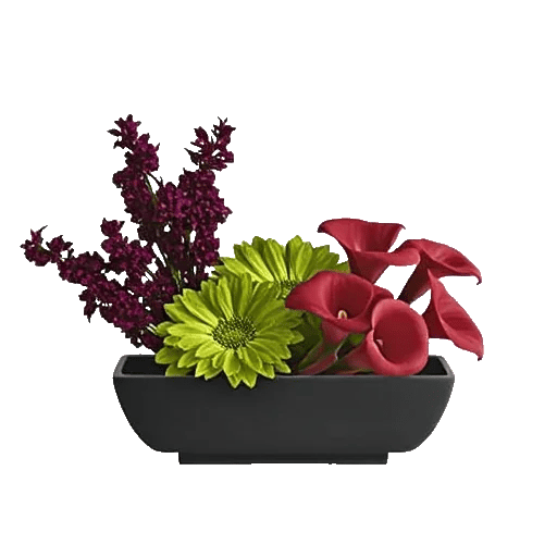 Elegant Calla Lilies