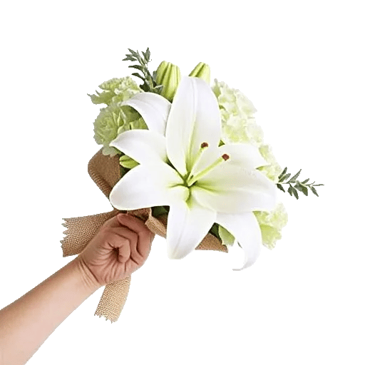 Graceful Lily Display