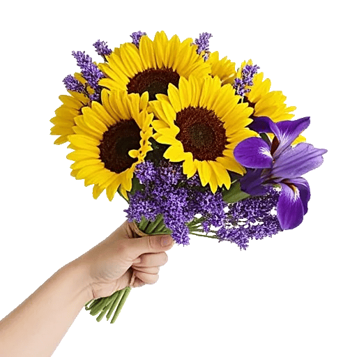 Twinkling Sunflower Dance