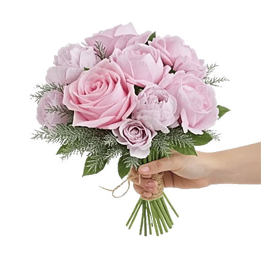 Pastel Pink Roses