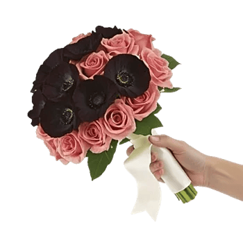 Blushing Rose Symphony