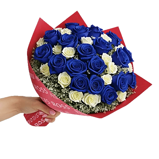 Elegant Blue Roses