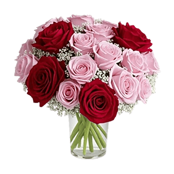 Crimson Rose Elegance