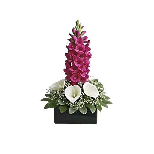 Elegant Calla Lilies