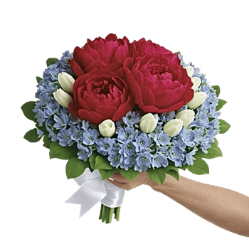 Petal Radiance Bliss
