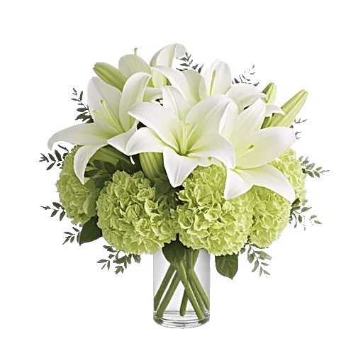 Ivory Blossom Radiance