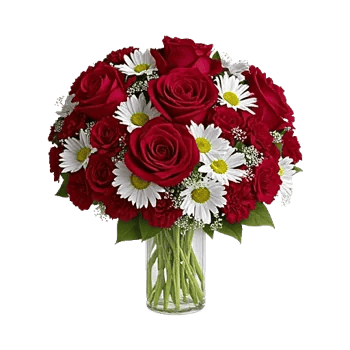 Crimson Blossom Harmony