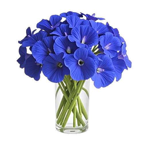 Petal Radiance Bliss