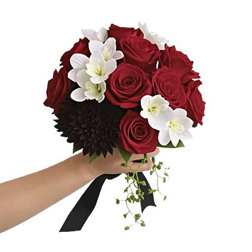 Crimson Rose Elegance