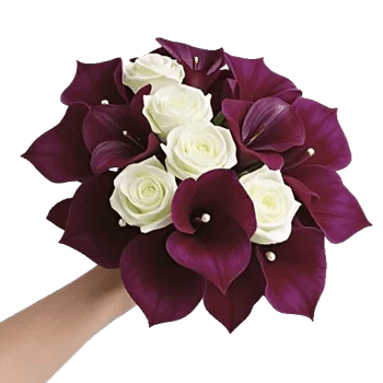 Elegant Calla Lilies