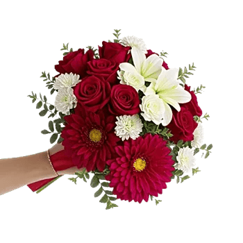 Crimson Rose Elegance