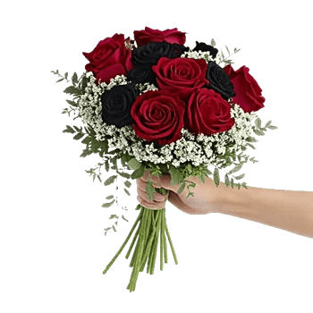 Crimson Rose Elegance