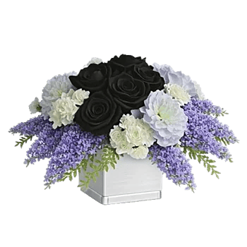 Elegant Blue Roses
