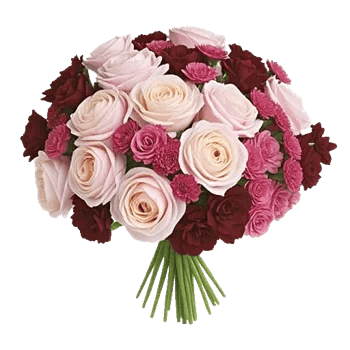 Delicate Petal Cascade