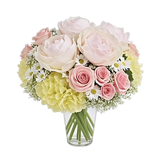 Petal Radiance Bliss