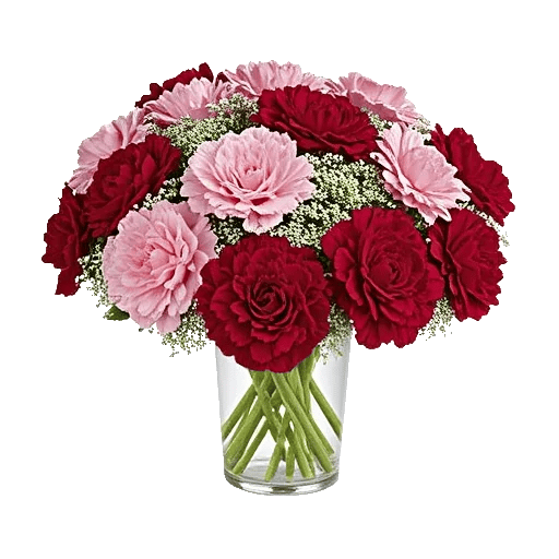 Delicate Petal Cascade