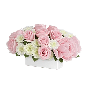 Delicate Petal Cascade