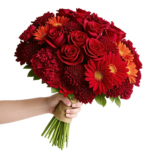 Crimson Rose Elegance