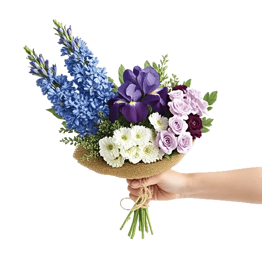 Serenity Blossom Grace